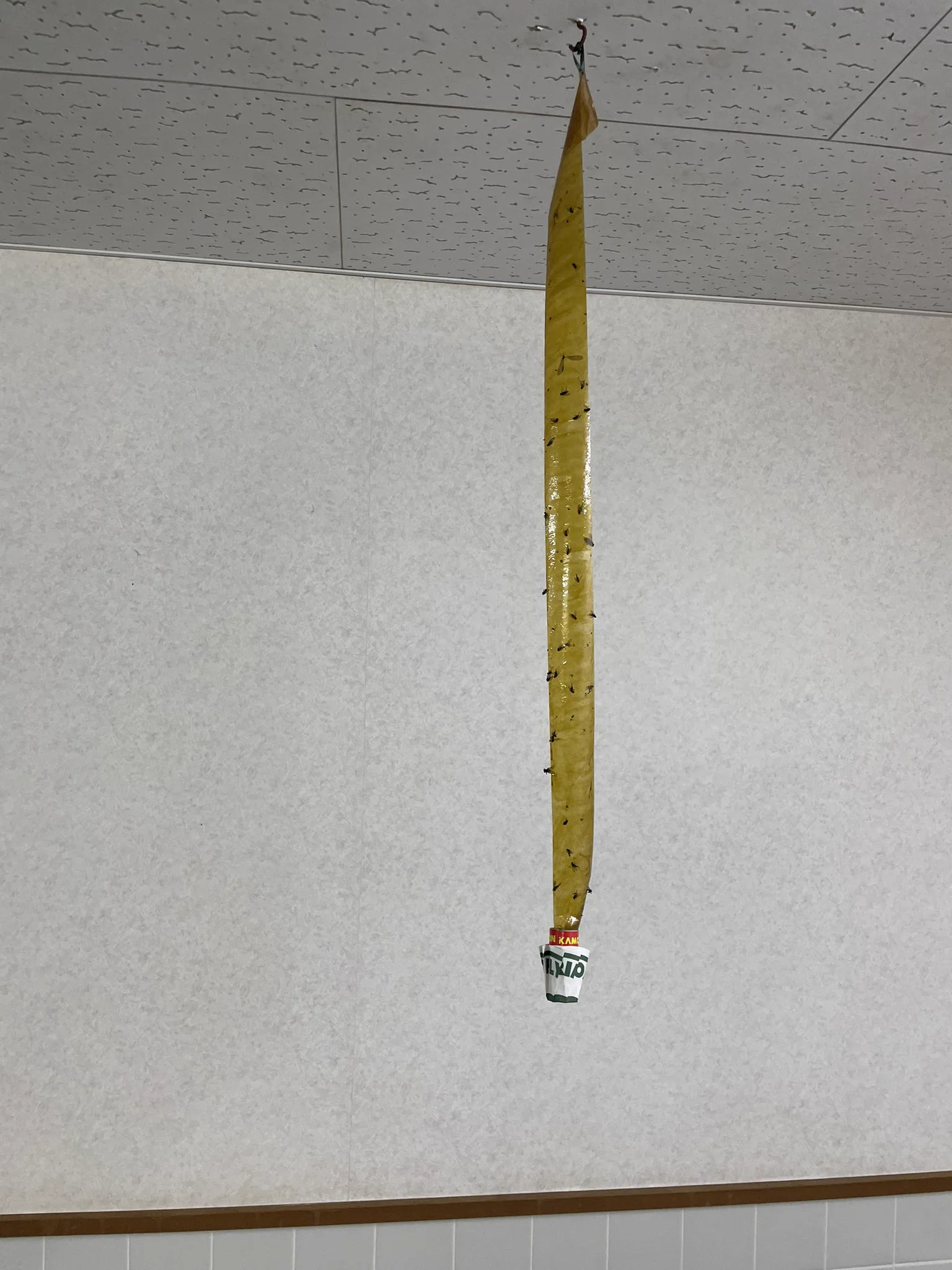 @tumetume1112 @tanabe_y いや、勝手に貼り付いてくるんですわ 