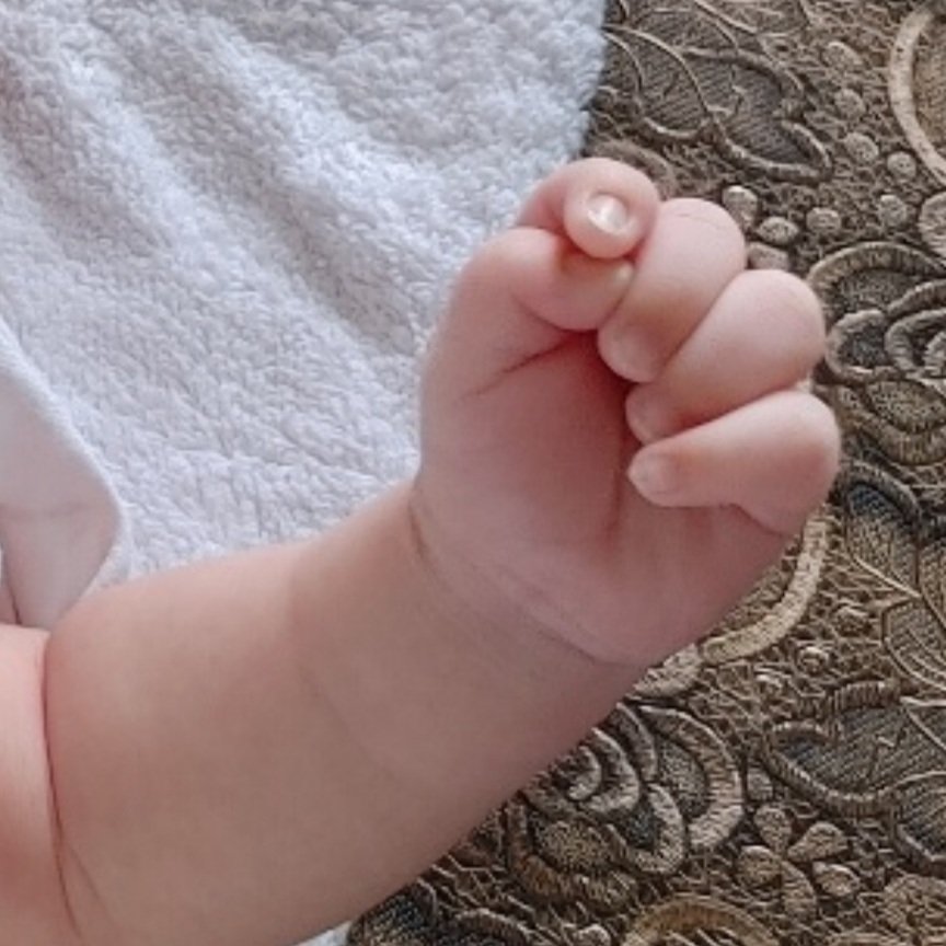 주먹,,,,,, 귀여워