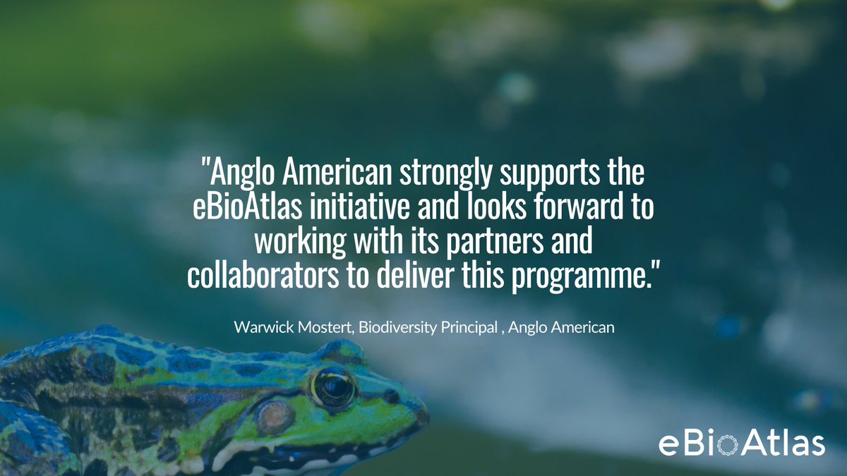 ebioatlas's tweet photo. Mining group @AngloAmerican has made a corporate-level commitment to achieve a net positive impact on #biodiversity and the first company to make a commitment to share their data in the #eBioAtlas. https://t.co/rXwP6JsFXI