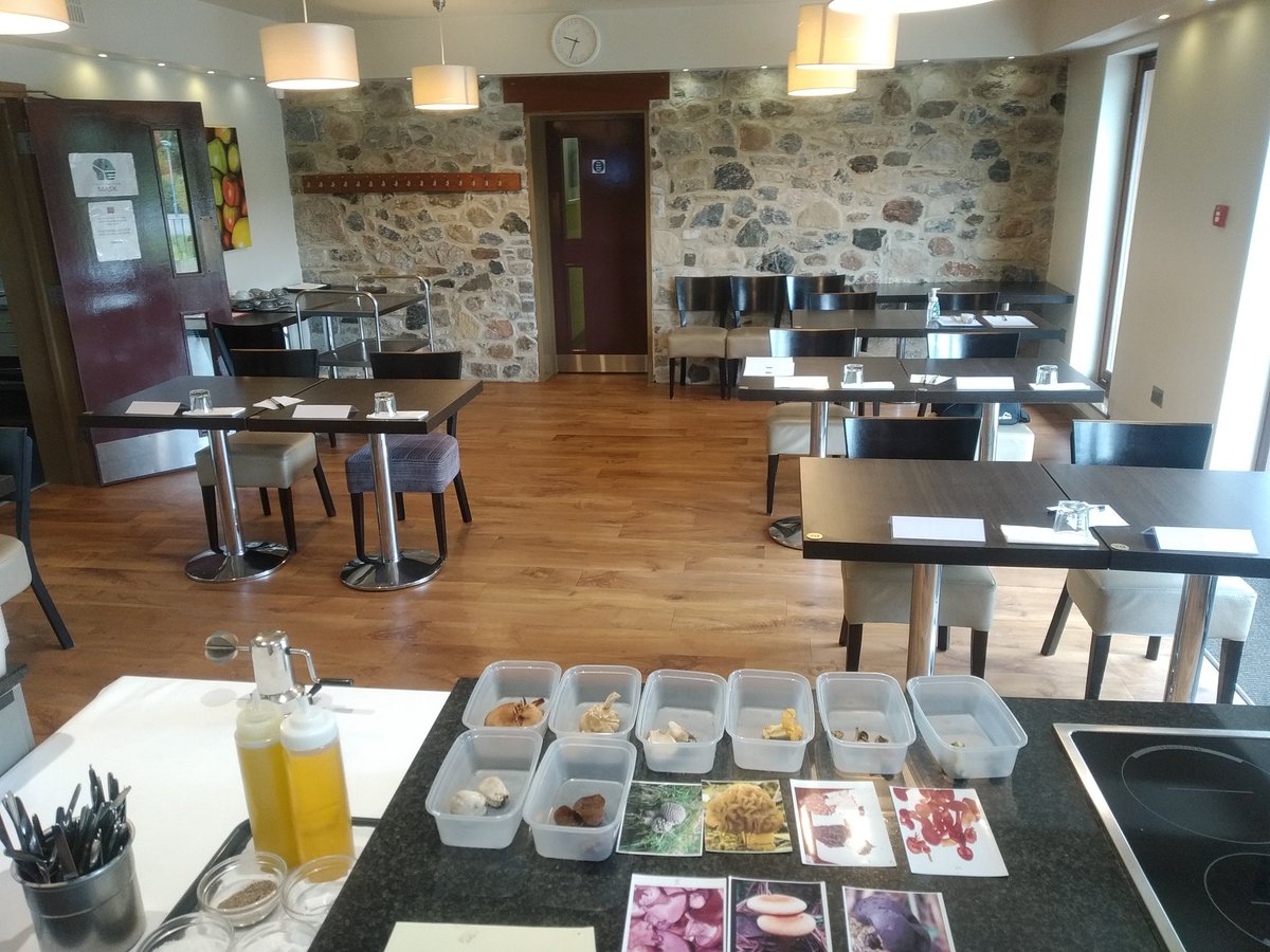 All ready for a foraging demo <a href="/AshburtonCS/">Ashburton Cookery</a>  for their <a href="/ChefsAcademy/">AshburtonChefAcademy</a>