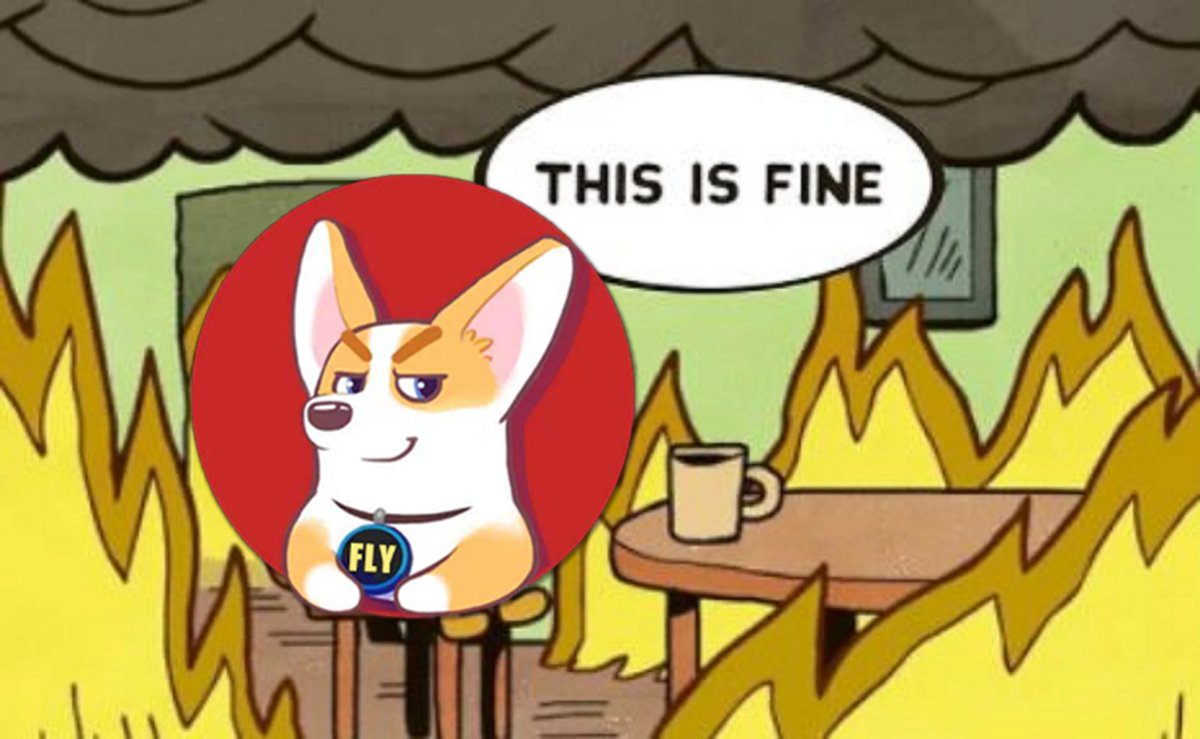 theflydoge's tweet photo. @dogecoin Huge burn incoming! #FlyDoge https://t.co/gEXNHoSGnH