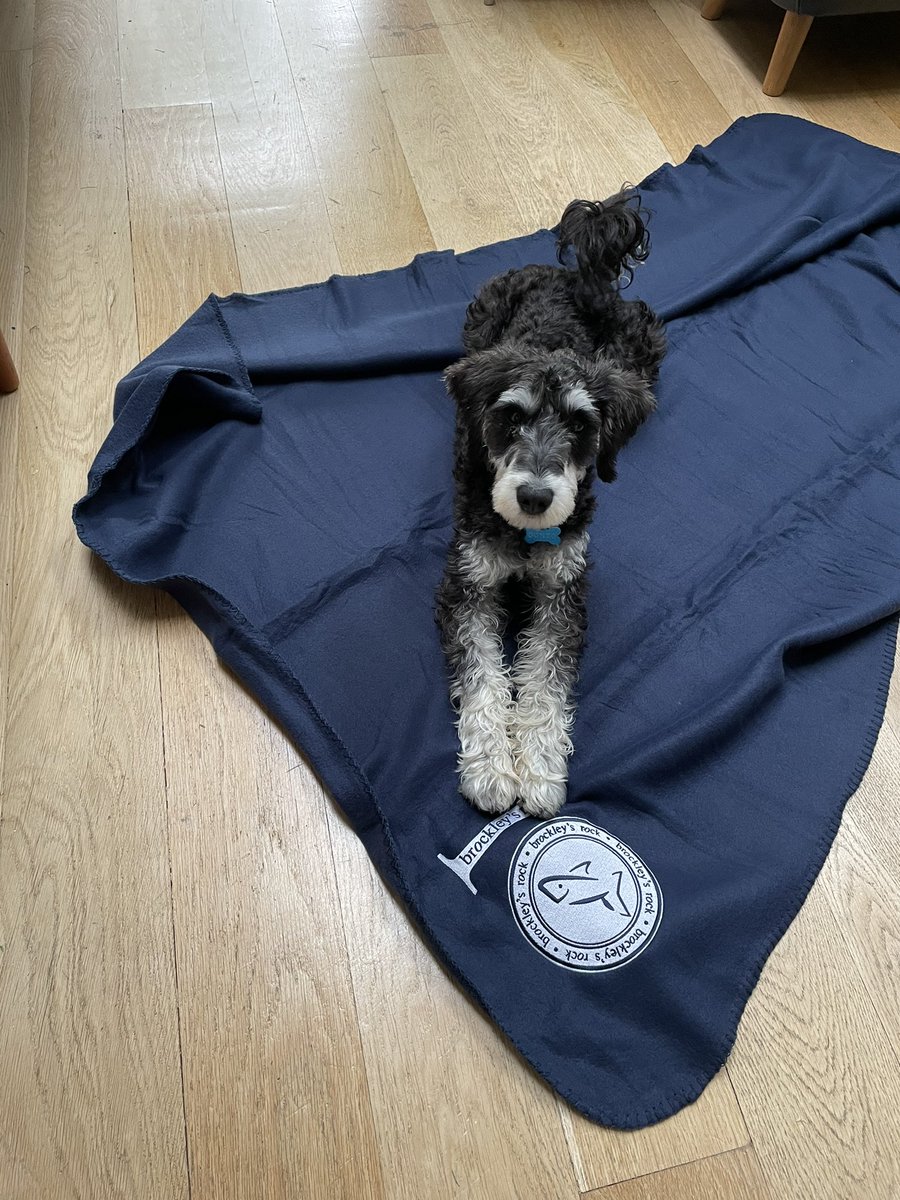 cutlerw's tweet photo. @BrockleysRock @BrockleysRock - thanks for the picnic blanket. Puppy proud to lay on it while we enjoy our fish and chips! https://t.co/Uhm6m3k2n5