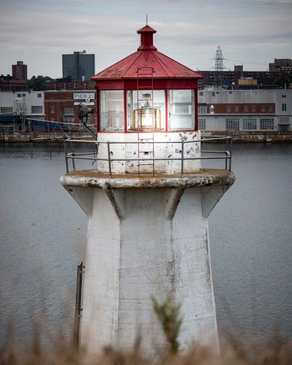 murphyshalifax tweet media