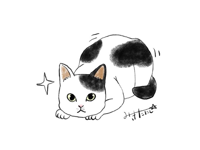 可愛いと思ったらリツイートのtwitterイラスト検索結果 可愛いと思ったらリツイートのtwitterイラスト検索結果