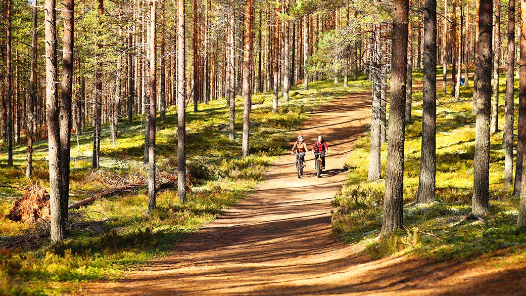 Nyt kannattaa mennä retkelle #UNESCO'n #Geopark'eihin - esittelevät merkittäviä geologisia teemoja &amp; Suomen maailmanperintöä. Mm. alueiden kartoitus- &amp; kohdetiedot ovat peräisin GTK:n aineistoista. #maammehyväksi <a href="/SaimaaGeopark/">Saimaa UNESCO Global Geopark</a> <a href="/RokuaGeopark/">Rokua UNESCO Global Geopark</a> @SuoGeopark luontoon.fi/geoparkit