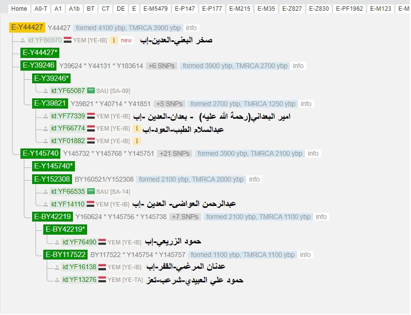 نبارك لكل المهتمين بعلم الانثربولوجي وبالنتائج الجينية العربية  وجود مثل هذه التكتلات الجينية العربية بهذه الاعمار العريقة واللتي تصادق على قدم وعراقة حضارات العرب بشكل عام و اليمن بشكل خاص.