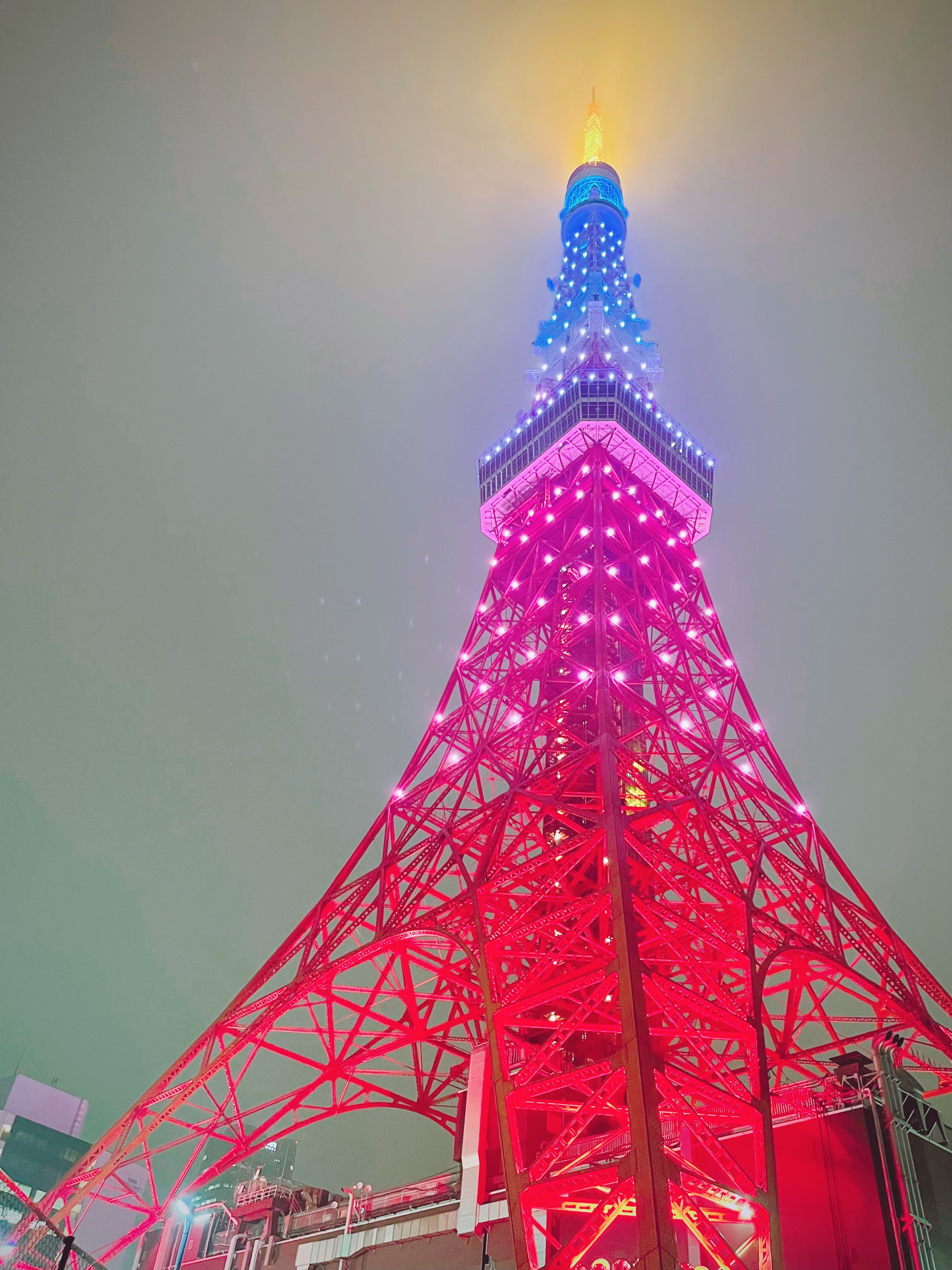 キキ ララ 公式 今夜の東京タワーは キキ Amp カラーにライトアップよ 雨でちょっぴり曇り空だけれど 19時30分に無事点灯したの 良かったらみんなにも見てもらえるとうれしいわ T Co Dgwa8ze9pn Twitter