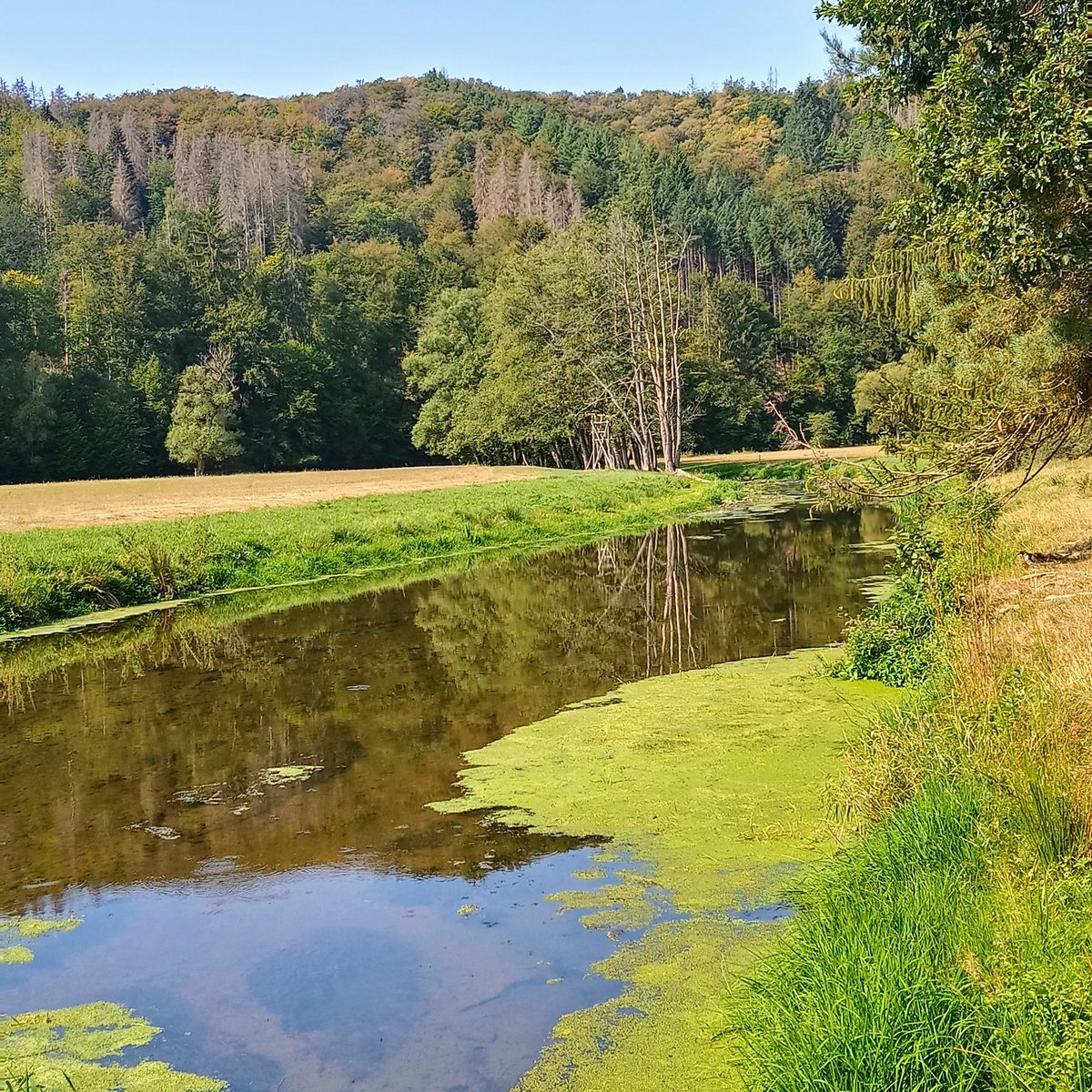 Das Orketal bei Lichtenfels-Dalwigksthal. Aufgrund der besonderen Lage ist dieser Teil von Nordhessen auch als „Waldeckische Schweiz“ bekannt.