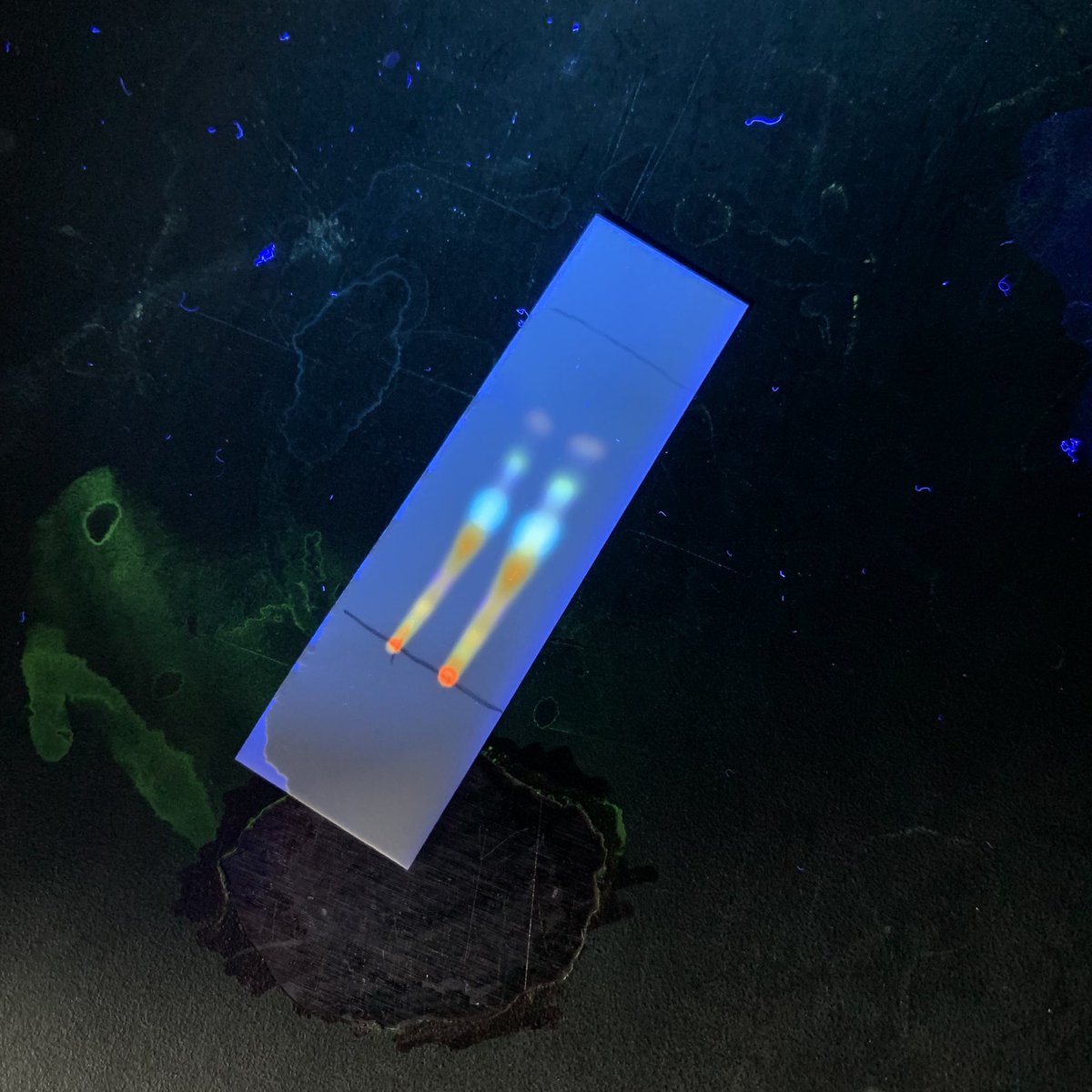 buffalowinggss's tweet photo. So many impurities 😢 but at least my TLC looks pretty #FluorescenceFriday https://t.co/Mw1VBf1IjL