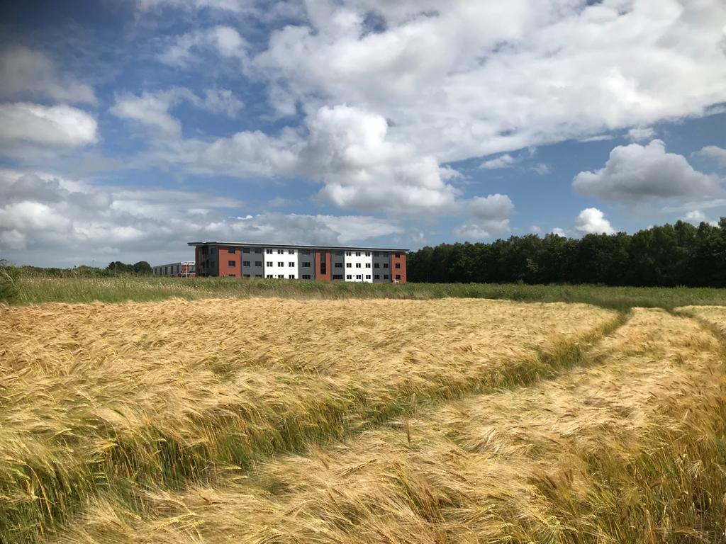 BizSpace Ashford tweet media