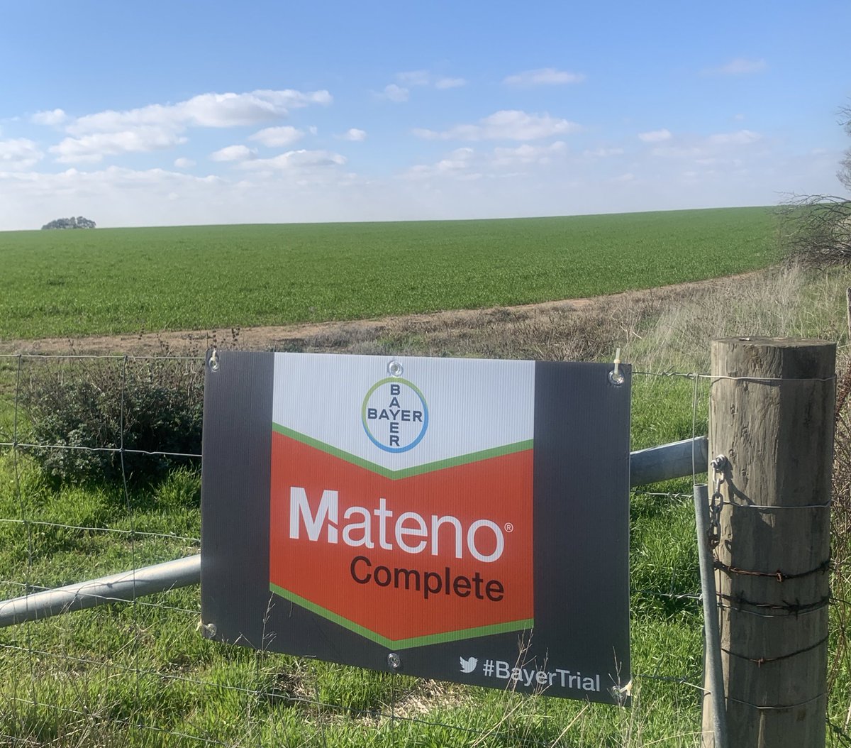 Great day to get out, show Mateno Complete and discuss it’s flexibility in the Wimmera! #bayertrial, thanks <a href="/DarrenTJones15/">Darren Jones</a> for the opportunity.