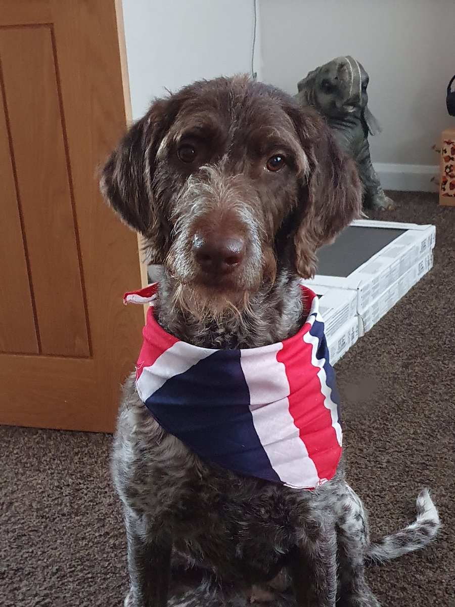 🏴󠁧󠁢󠁥󠁮󠁧󠁿 what's coming home????? 🏴󠁧󠁢󠁥󠁮󠁧󠁿