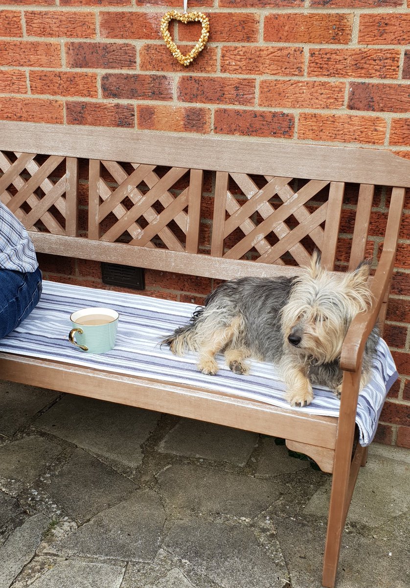 jennystape's tweet photo. Dad gave me a boar flavoured nugget then it's out on our bench 😊
#BoysTogether #LoveMeDad https://t.co/JQvWJiecPt
