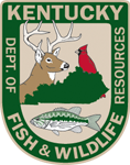 Z93country's tweet photo. New post (Asia the red fox improving at Kentucky Wildlife Center) has been published on Z93 Country - https://t.co/8M1GO4tdQi https://t.co/dBqyqyYo2m