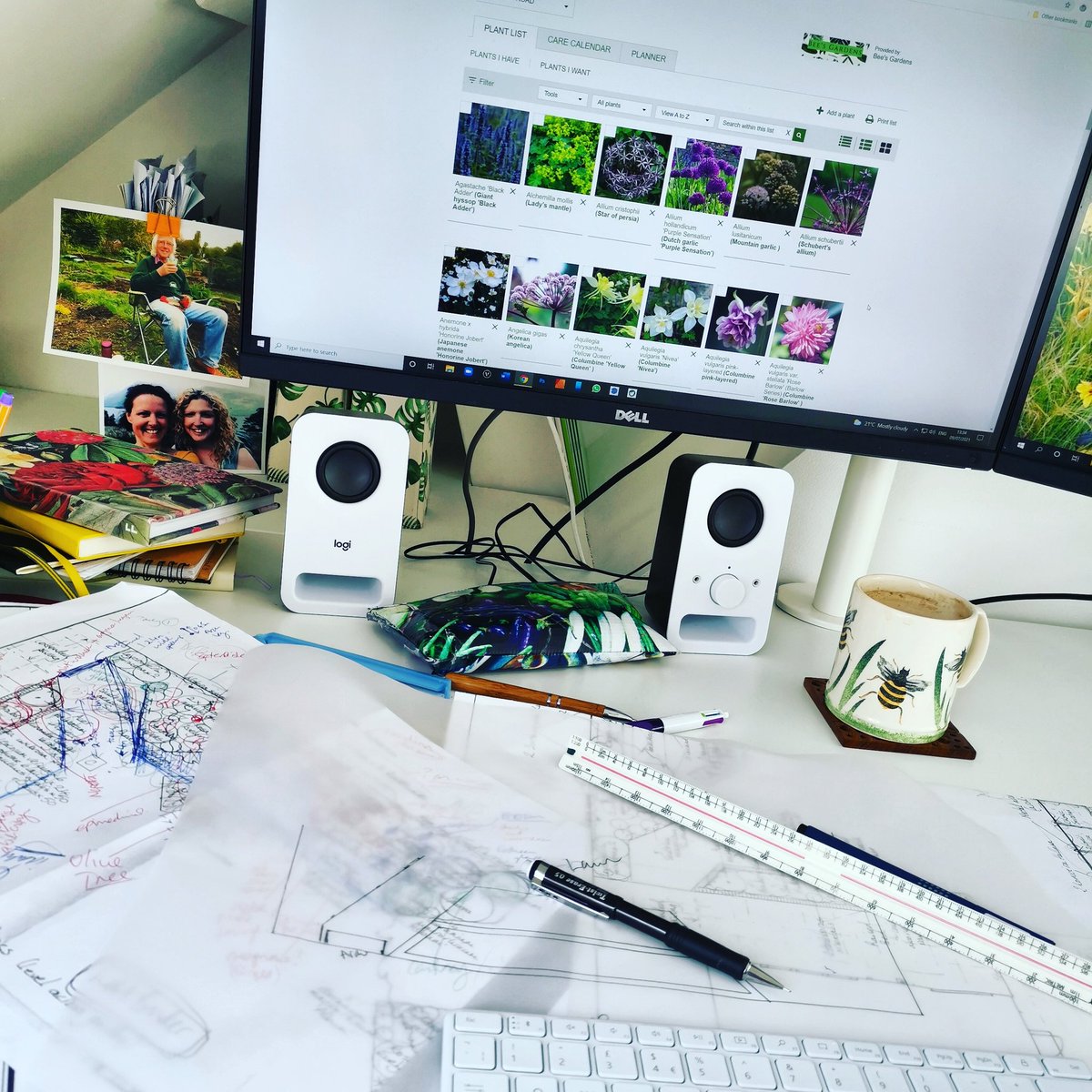 beesgardens's tweet photo. Planting Designing whilst also unexpectedly juggling the tiny tornado today, thank you @ShootGardening for making plant list organisation so much easier #plantingdesign #gardendesigner #workingmum #pandemic #isolation #thankgoodnessfornaptime https://t.co/Uz2JhMy5zE