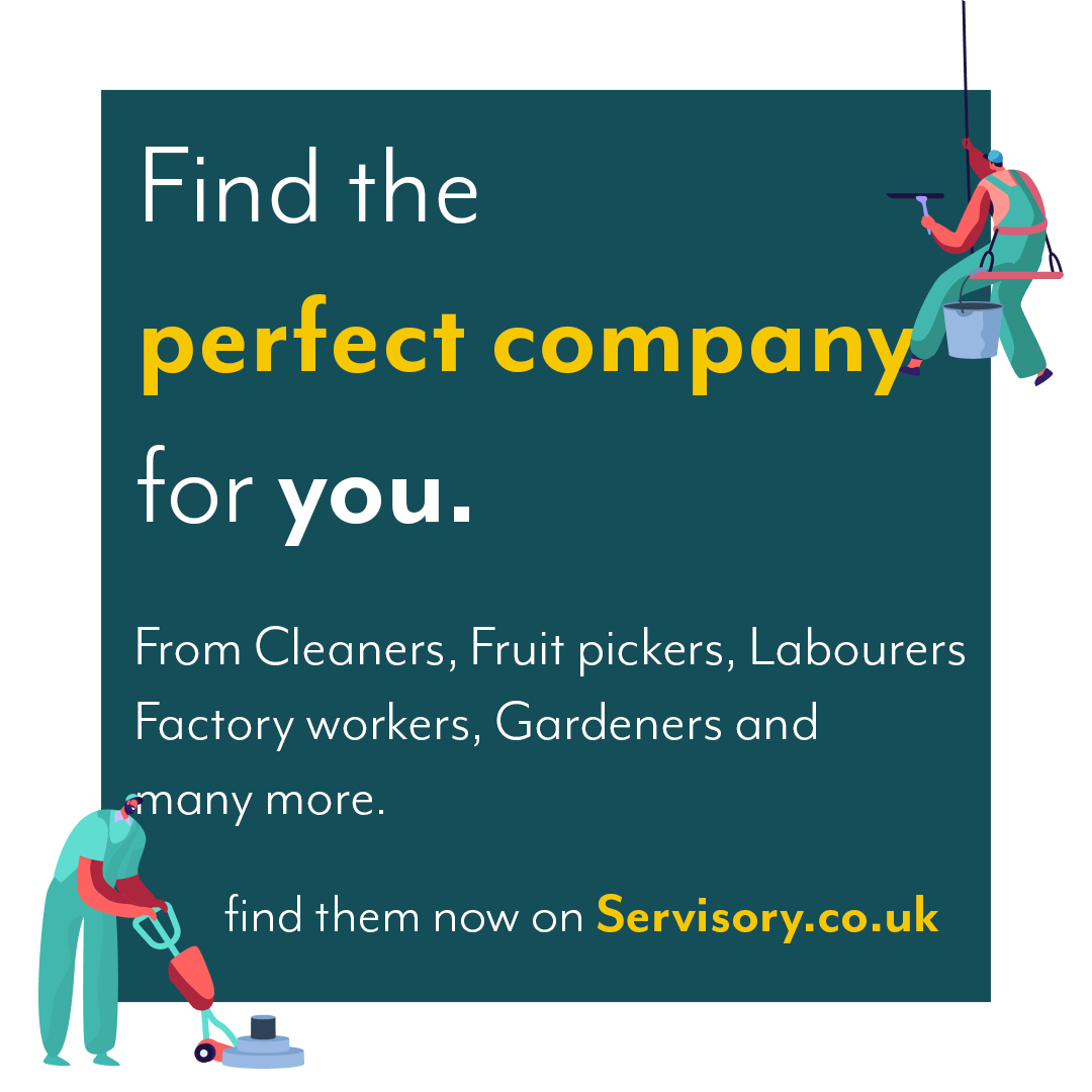 Find the perfect company with Servisory. Our online directory is perfect for you to find the service you need. 

#businesstips #directories #business