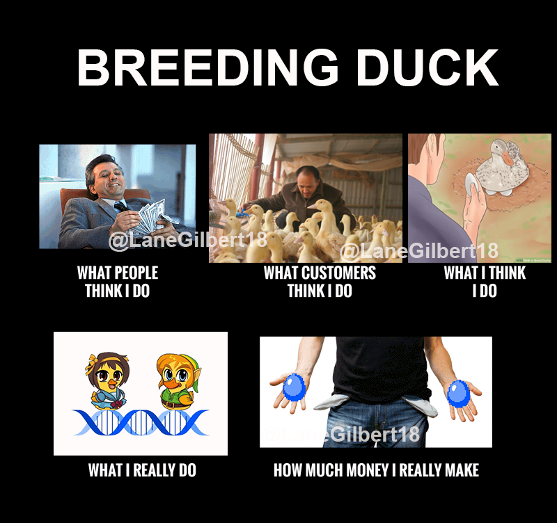 When I was a duck breeder. 
#WavesDucks #NFT #DeFi #play2earn