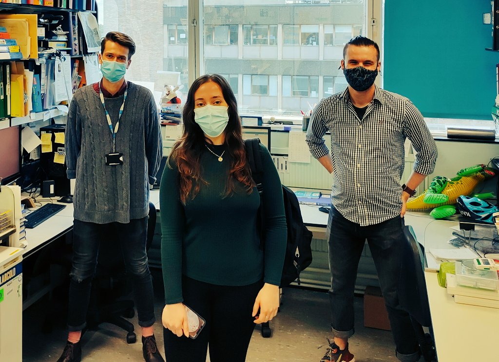 Stephen Graham's Lab tweet media