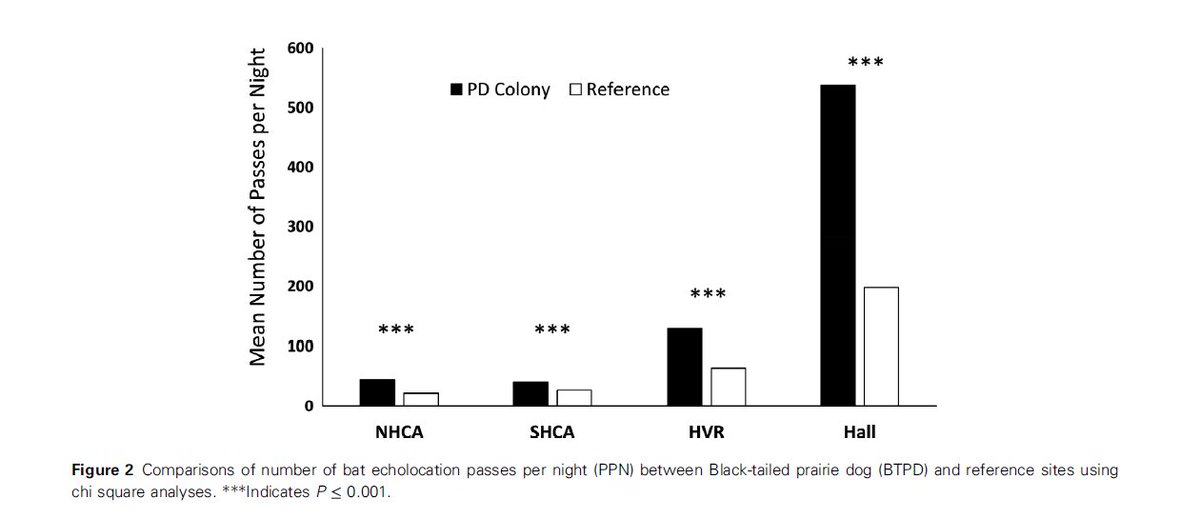 HayesAMark's tweet photo. This new paper by Rick Adams is fascinating, suggesting that prairie dog colonies influence bat behavior and activity. #bats

https://t.co/3LGAFl9Swi https://t.co/bu7kELuK0j
