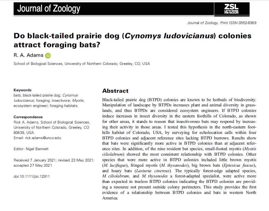 HayesAMark's tweet photo. This new paper by Rick Adams is fascinating, suggesting that prairie dog colonies influence bat behavior and activity. #bats

https://t.co/3LGAFl9Swi https://t.co/bu7kELuK0j