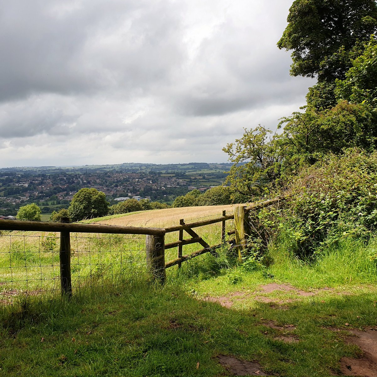 sharonamery's tweet photo. Even on bizarre weather days (rain / cloud / warm sunshine / cloud / scorchio sunshine / cloud!), the Bromyard Downs always deliver! 😊

#Bromyard #BromyardDowns #Herefordshire #Countryside #NaturePhotography #Summer #Walking #Exploring https://t.co/iVTn2p5nWI