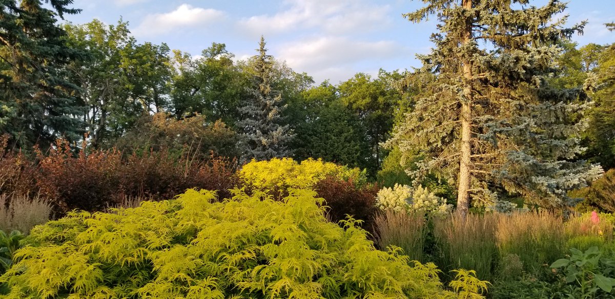 h_nerd's tweet image. 