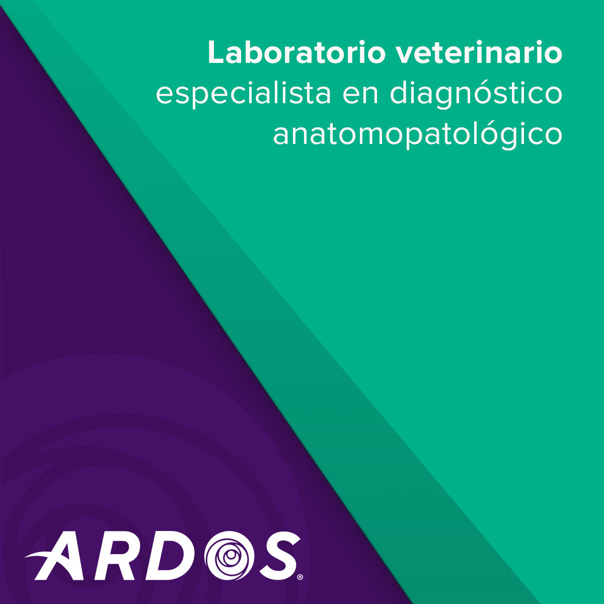 ardoslab's tweet photo. Somos Ardos Laboratorio Veterinario, especialistas en anatomopatología veterinaria.

📍 Ciudad de México
🔬 Citología, biopsia, necropsia e inmunihostiquímica
☎️ 55 5012 8199
📱 55 4483 7495
✉️ contacto@ardoslab.com https://t.co/yHT7cropV1