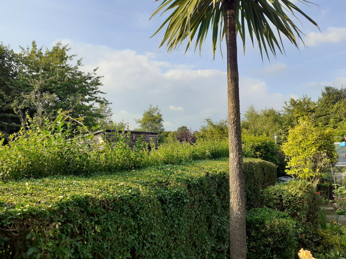 ukelelejones's tweet photo. Trimming your rear vegetation on a Friday evening is somewhat satisfying 😊😊😊 Uke
#TrimmedandTidyBushes
#TimeForABeerOrThree
#KeepUpWithTheJones' https://t.co/yxbtcUxtzM