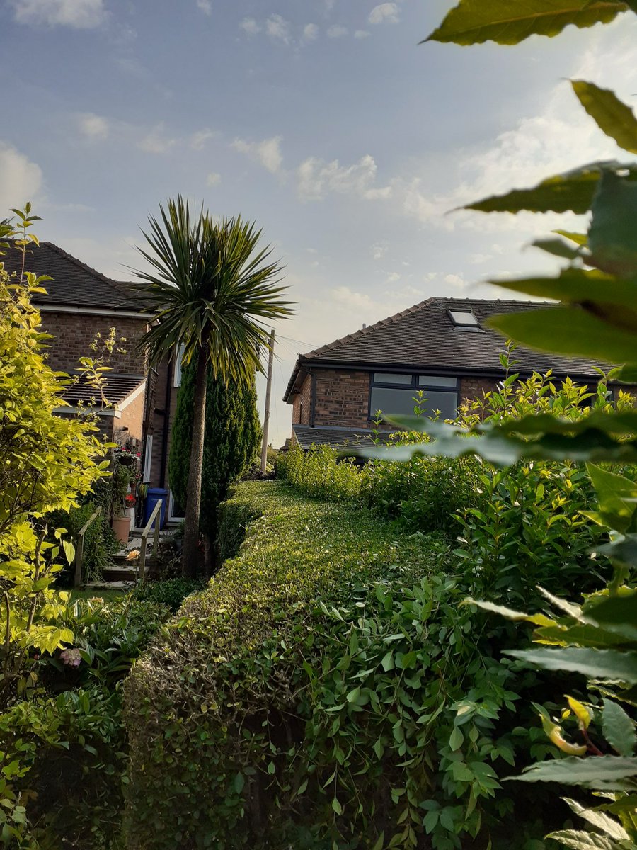 ukelelejones's tweet photo. Trimming your rear vegetation on a Friday evening is somewhat satisfying 😊😊😊 Uke
#TrimmedandTidyBushes
#TimeForABeerOrThree
#KeepUpWithTheJones' https://t.co/yxbtcUxtzM