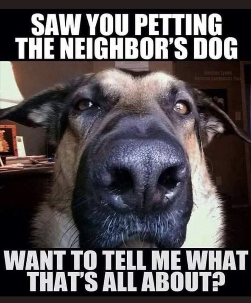 Paddyspurpose01 tweet media