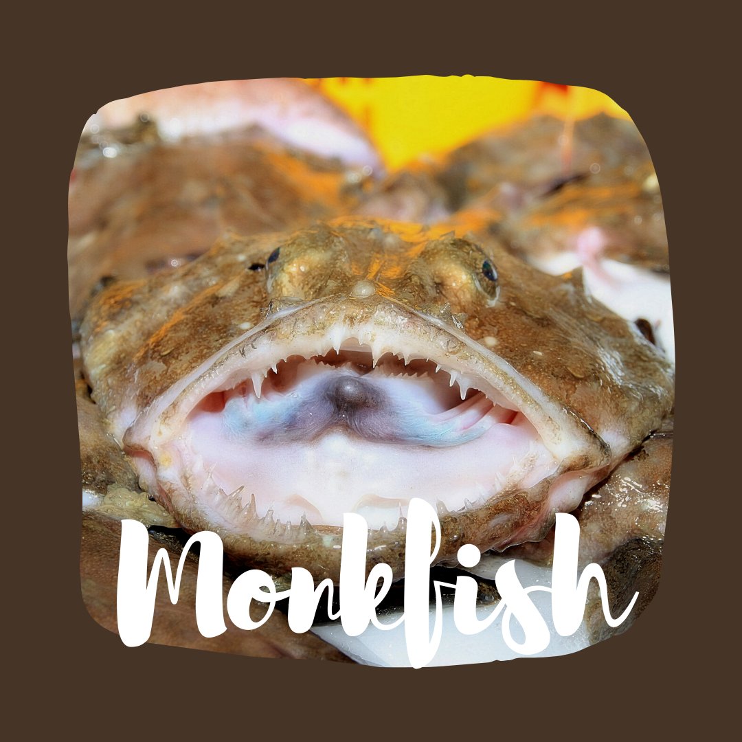 Monkfish is our Catch of the Week, and it's a real diamond in the rough. Cook it up in a rich curry sauce, or wrap it up in bacon and serve it as medallions, this firm filet will withstand anything!