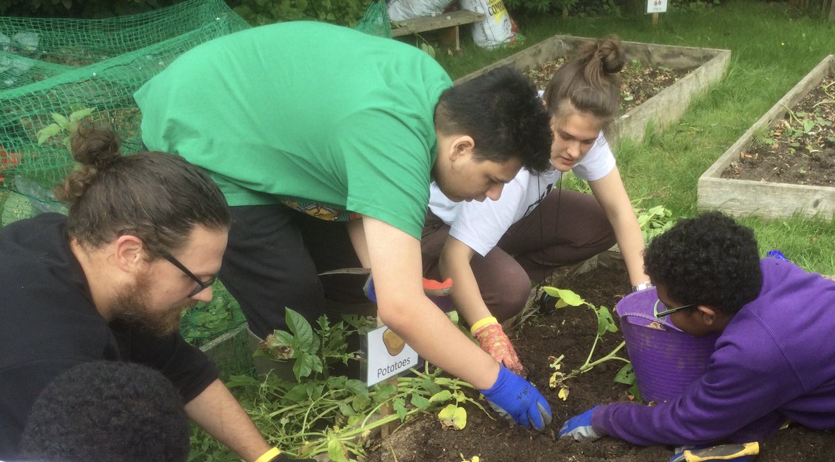 NASRadlettLodge's tweet photo. Juno class worked really hard up at the allotment today. They harvested the potatoes and brought them back to school to sell to staff. Well done! Great work everyone 👍🏻 @Autism https://t.co/rVcnLUd3sx