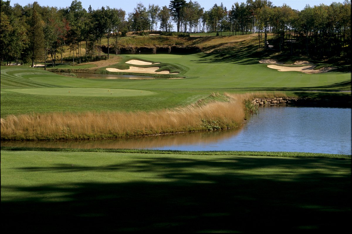 SCOREGolf tweet media