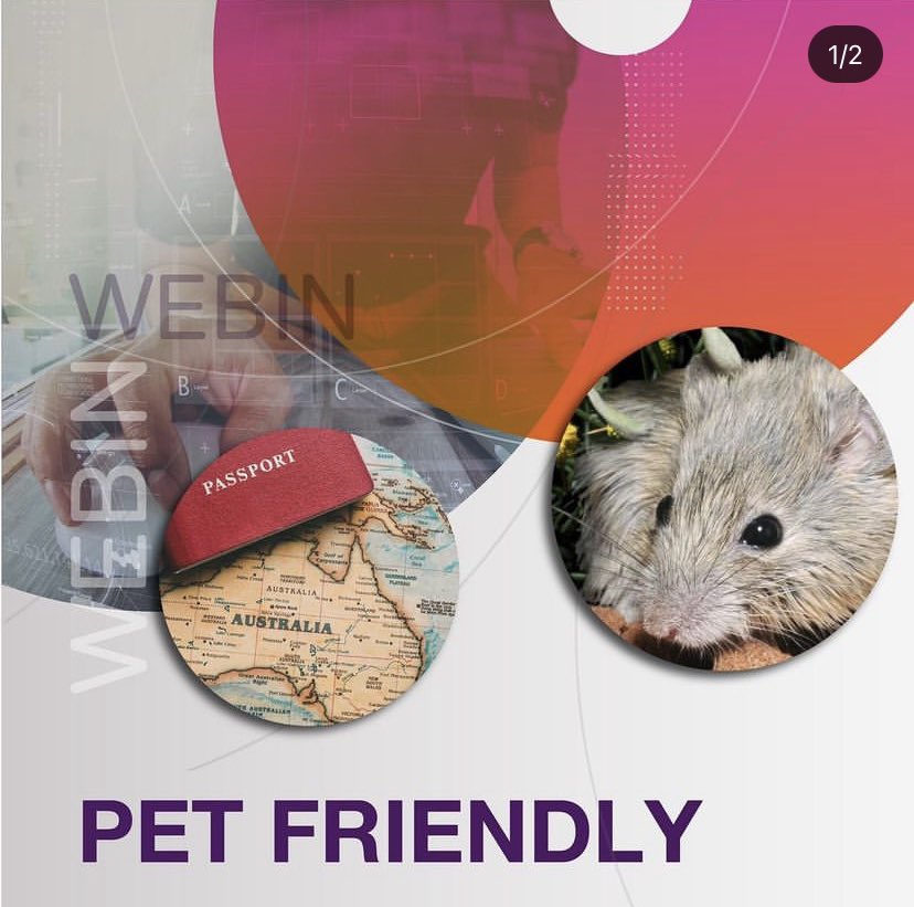 WebinThe's tweet image. 