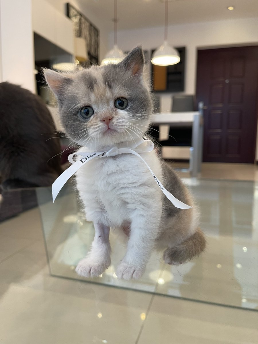 Like Mother                             Like Daughter