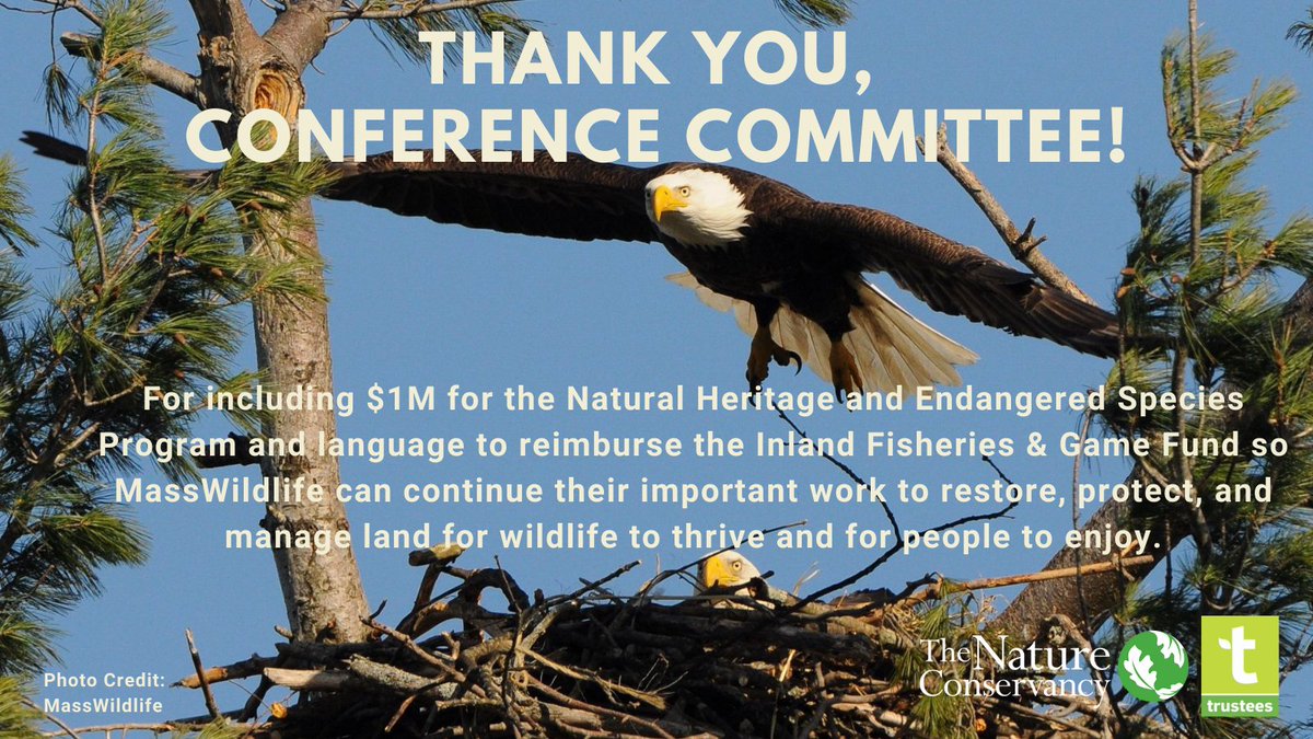 ConserveMA's tweet photo. Thank you @RepMichlewitz @SenRodrigues @RepAMF @ToddSmola1 @CindyFriedmanMA @PatrickMOConnor! &amp; special thanks to @AnneGobi for leading the way to reimburse Inland Fish &amp; Game Fund! These are critical to ensuring diverse &amp; sustainable funding for @MassDFG MassWildlife. #mapoli https://t.co/roHRS5UeJn