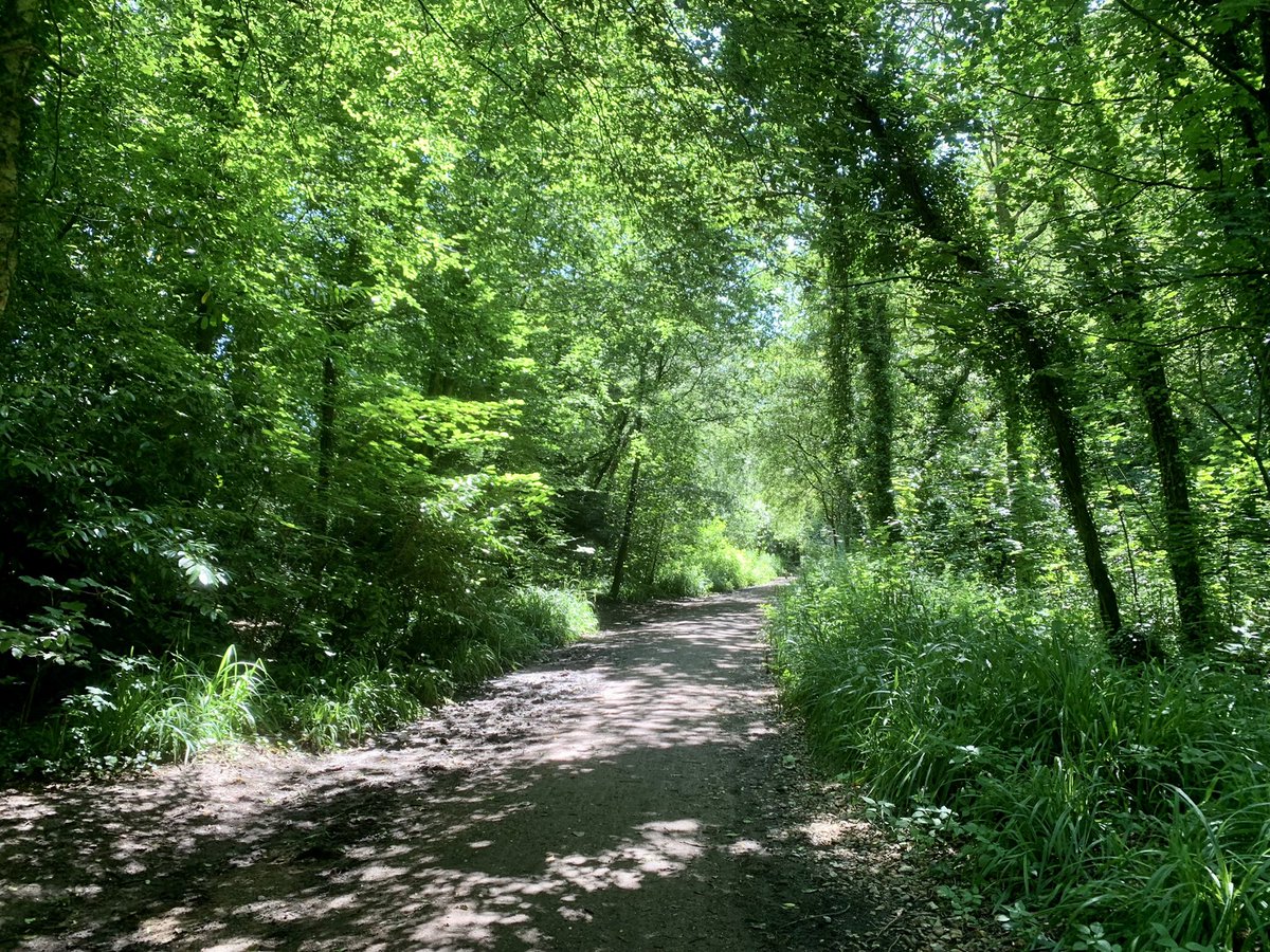 BiscoesDR's tweet photo. A wonderful time at lunch, exploring the beautiful Meon Valley Trail on a lovey sunny high summer day! #techtimeout #MeonValley #Wickham #Hampshire #lunchtime https://t.co/zyypkEihkm
