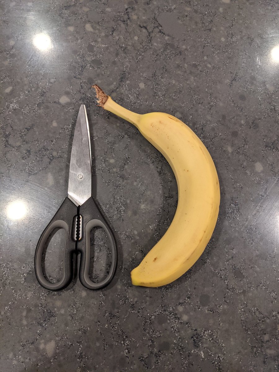 BananaForScale tweet media