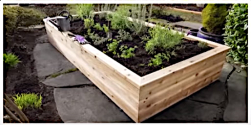 LumberBuffalo's tweet image. Love farm-to-table home grown veggies? Red Cedar raised-garden beds are the simplest &amp;amp; most beautiful way to garden in your yard. Toxin-free and looks amazing! RealCedar DIY plans and video at bit.ly/3lBid58

#cedarlumber #woodlovers #buffalolumber