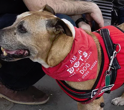 We've just donated $10k to <a href="/dotslondon/">Dogs On The Streets</a>. We love what they do for dogs belonging to the UK’s homeless community. The Top Dog community made this happen 👊🐶❤.

We'll be making another donation shortly to a community-choosen charity. All suggestions welcome! #TDBC