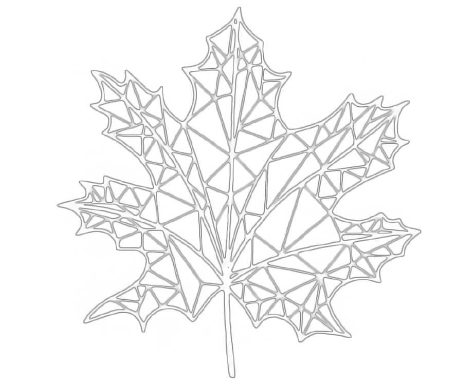 CultureBlackpool tweet media