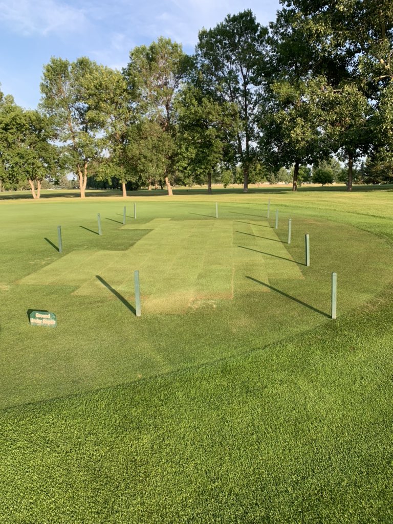 jordan joye (@jordanjoye) on Twitter photo Was sick of waiting on this spot to fill in so a quick cut, sod, topdress and roll and we shaved off at least a couple weeks of healing time. Great job by the crew <a href="/glenleagolf/">Glen Lea Golf Course</a> <a href="/GlenLeaTurf/">Glen Lea Turf Care</a> Was sick of waiting on this spot to fill in so a quick cut, sod, topdress and roll and we shaved off at least a couple weeks of healing time. Great job by the crew <a href="/glenleagolf/">Glen Lea Golf Course</a> <a href="/GlenLeaTurf/">Glen Lea Turf Care</a>