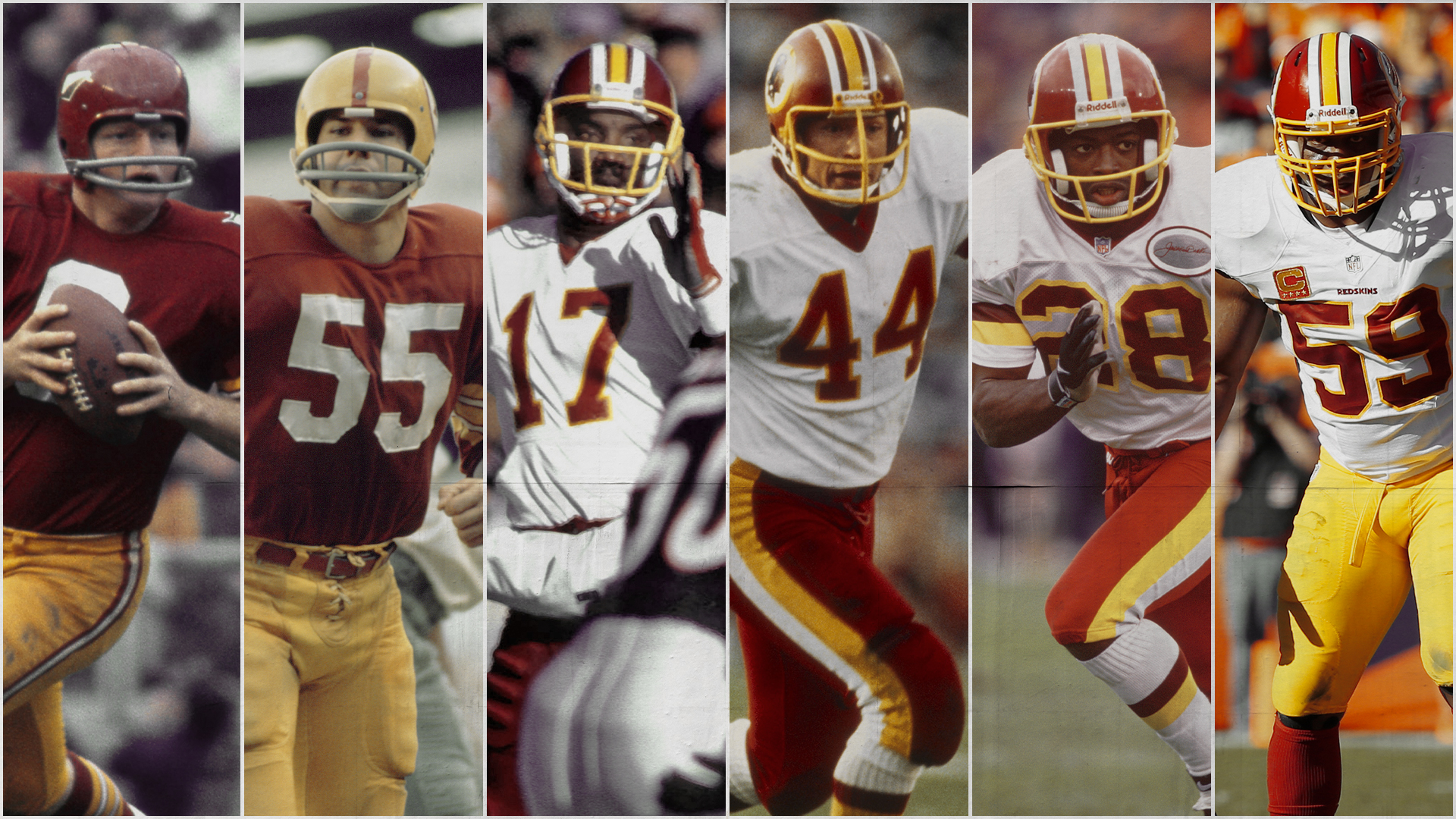 Refer To The Top 10 Best NFL Teams Of All Time Tea Sport Live refer-to-the-top-10-best-nfl-teams-of-all-time-tea-sport-live