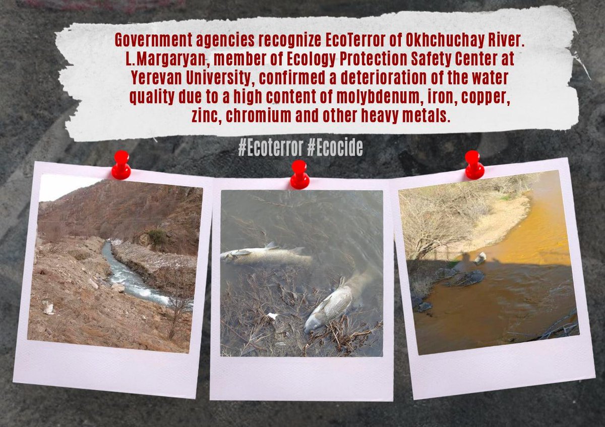 Feride12524183's tweet photo. https://t.co/dSC4ittqED #Ecoterror #Ecocide @Piratenpartei @VoltDeutschlan @NDE_Germany @PEMSEA @ESG_Project @UNEP @Greenpeace @NatGeo @GermanyDiplo @GERinArmenia @HealthPollution @gggi_hq @Ch8un @UN @UNDP @GerAmb_Baku @IPCC_CH @EUEnvironment @oedp_de https://t.co/Tw3mGD4IzW