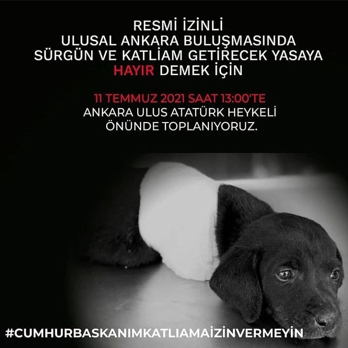 bfuunn's tweet photo. #11TemmuzaHazırOl #Ankarada #EylemVar
#CumhurbaskanımKatliamaİzinVermeyin @RTErdogan katliama izin vermeyin ! https://t.co/sIkaPxn0EB