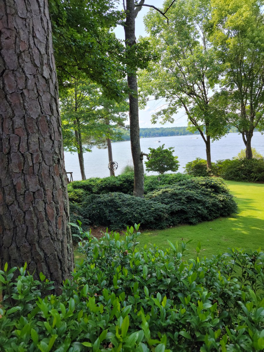 ItsAllruff's tweet image. But when you can say Georgia bulldogs have the upper hand but Nick Savins pulls a better offense and defense and smacks the bulldogs