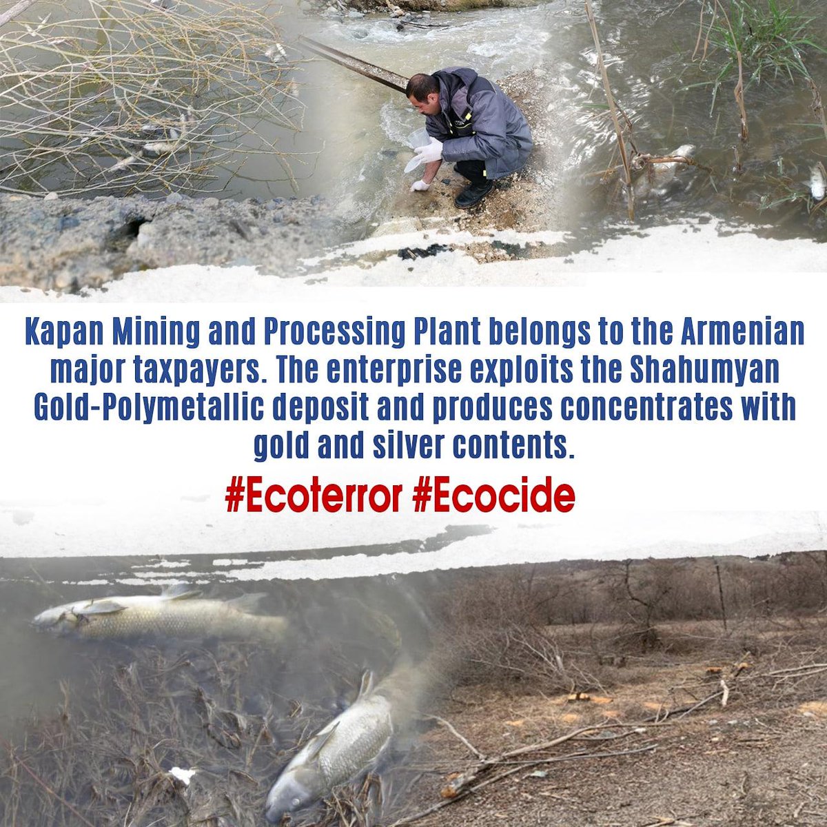Feride12524183's tweet photo. https://t.co/oGbjZMyBve #Ecoterror #Ecocide @PEMSEA @ESG_Project @EUEnvironment @UNEP @RFERL @bmu @CSU @CDU @fdp @dieLinke @DiePARTEI @FREIEWAEHLER_BV @oedp_de @Piratenpartei @VoltDeutschlan @NDE_Germany @Die_Gruenen @spdde @AfD https://t.co/wWFoWo1tUc