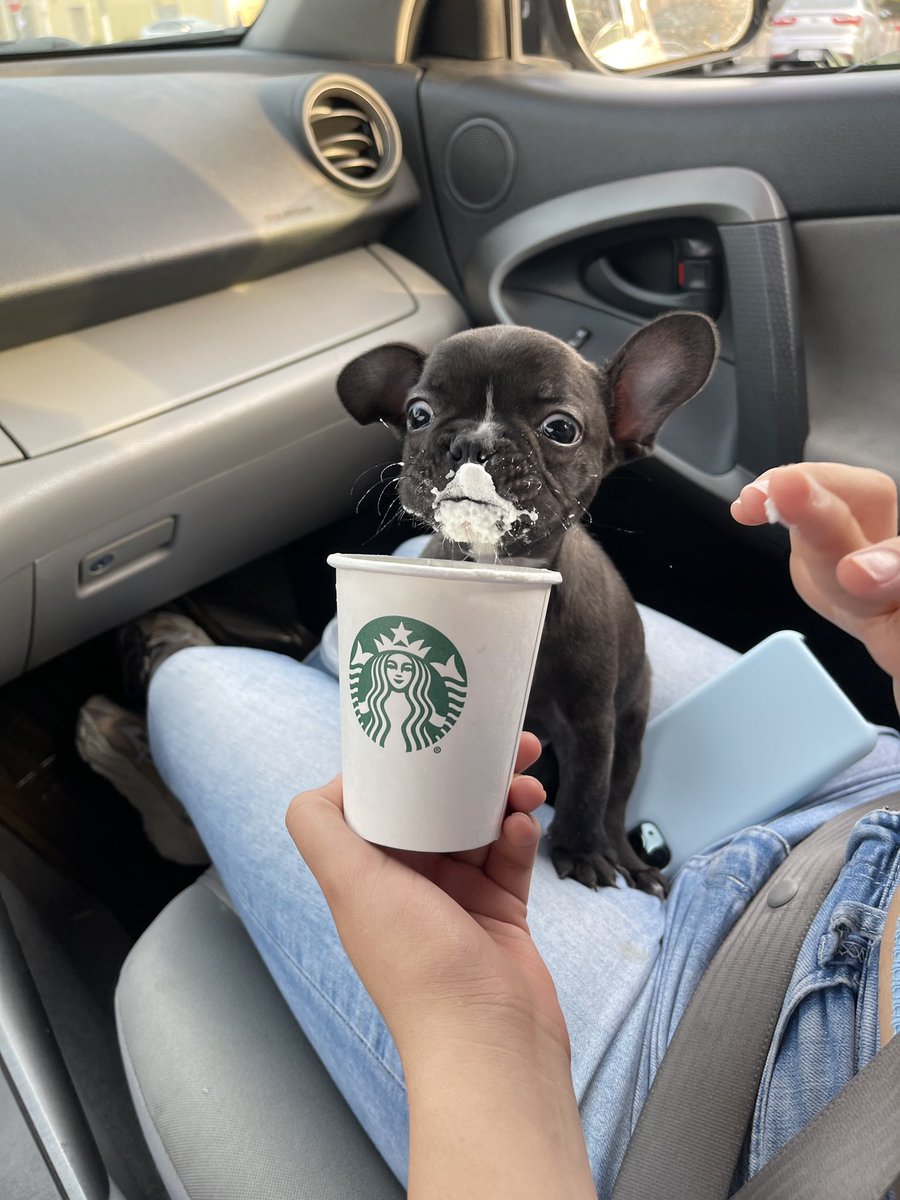 SuavesLomitos's tweet photo. 🤤🐶🤤🐶🤤🐶 https://t.co/12roe6qgPH