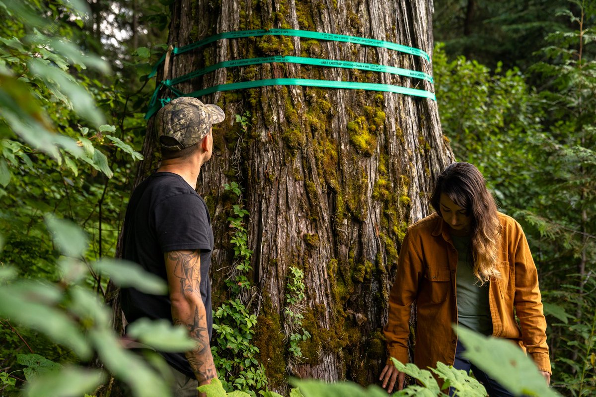 WildsightRevy's tweet image. 🌲Forest Friday 🌲

👇The strategic report below was created with the input of over 800 people. It has been IGNORED ENTIRELY while the government and industry continue to talk and log. 

Read the review 👇
👀ow.ly/sPFY50FsCOU

Photo: Bigmouth, N of Revelstoke, June 2021