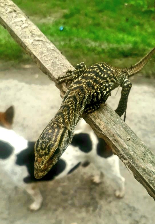 Bhrigu KP tweet media